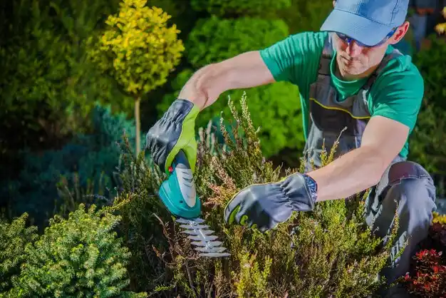landscaping services South Bloomfield